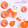 POP UP Carrot Bunny (make life more joy)